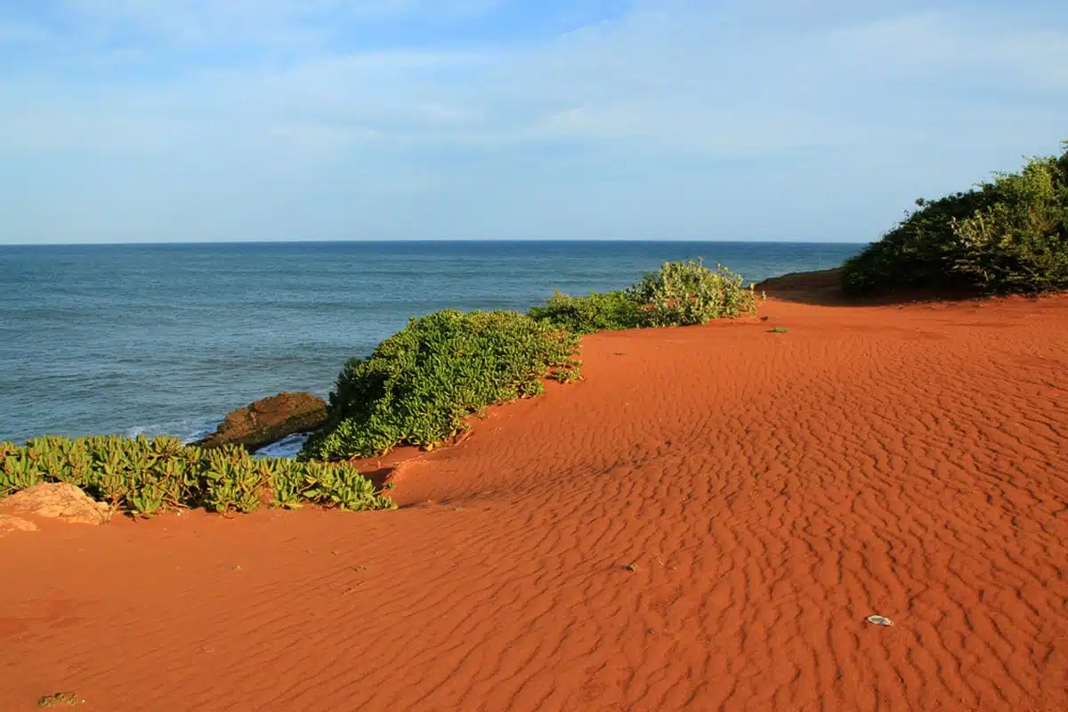 Bundala National Park, Sri Lanka