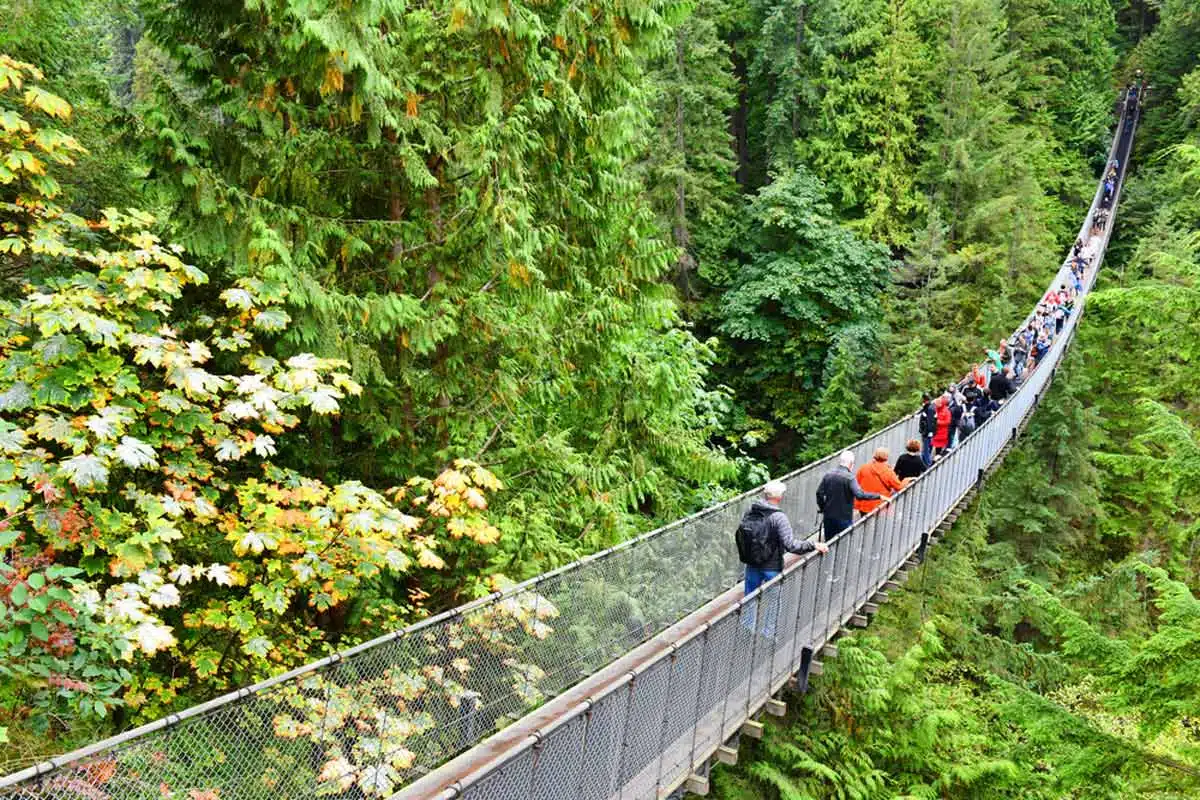 Capilano Suspension Bridge