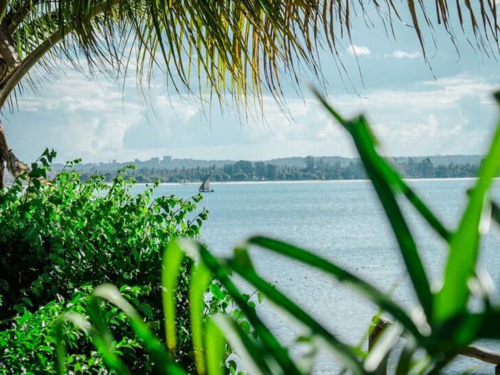 16 Epic Things to do in Tanzania: From Wildlife Safaris to Beach Getaways