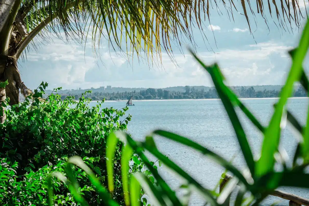 Coco Beach - Tanzania and Zanzibar