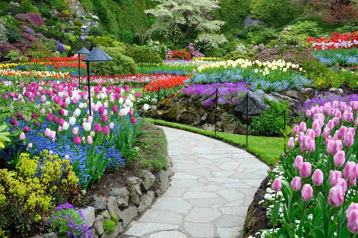 Explore the Butchart Gardens