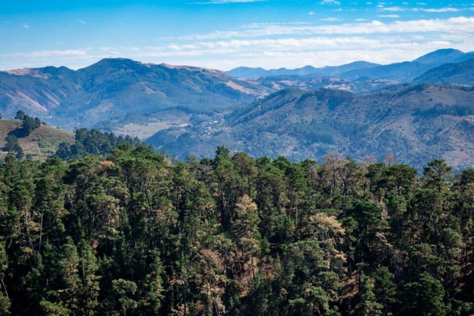 Where to Stay in CarmelbytheSea — The Discoveries Of