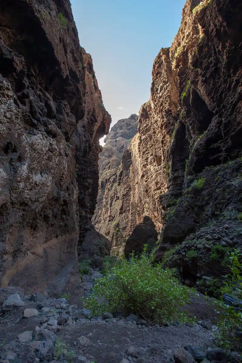 Masca Gorge Trail, Tenerife