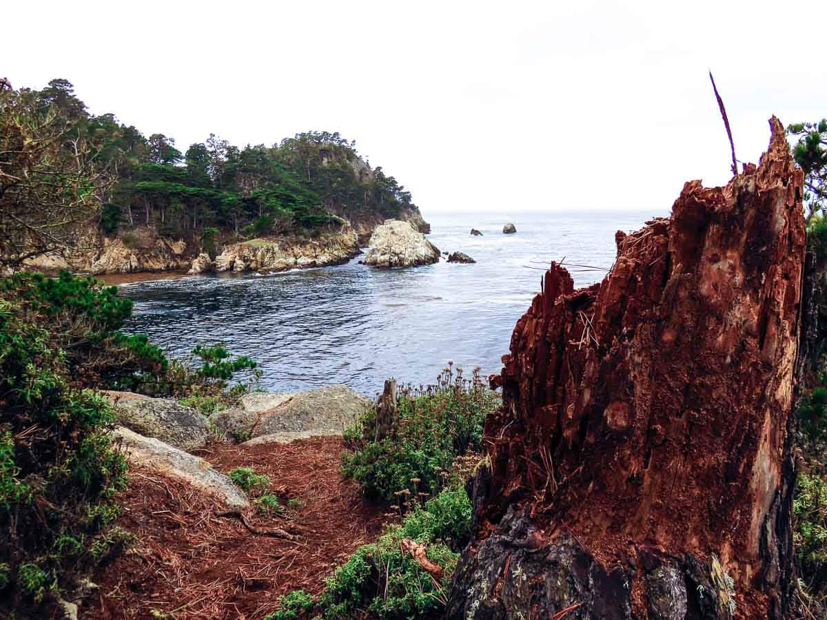 Point Lobos State Natural Reserve