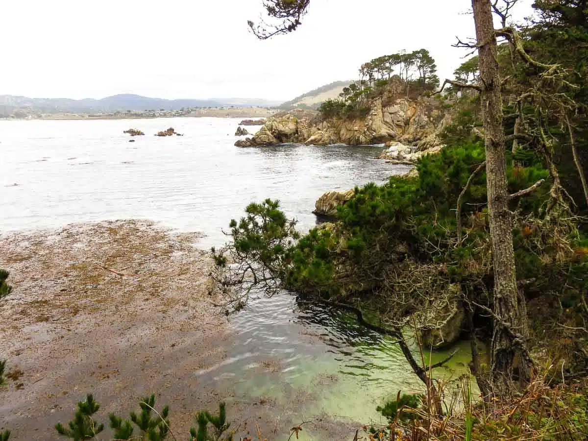 Point Lobos State Natural Reserve