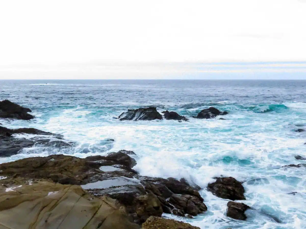 Point Lobos State Natural Reserve