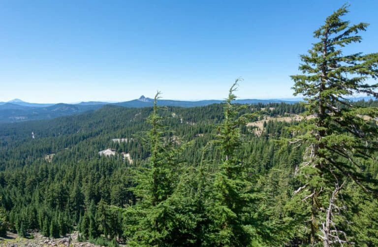 When’s the Best Time to Visit Redwood National Park?