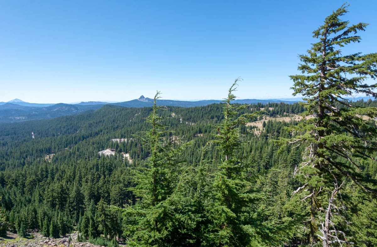 Redwood Creek Overlook