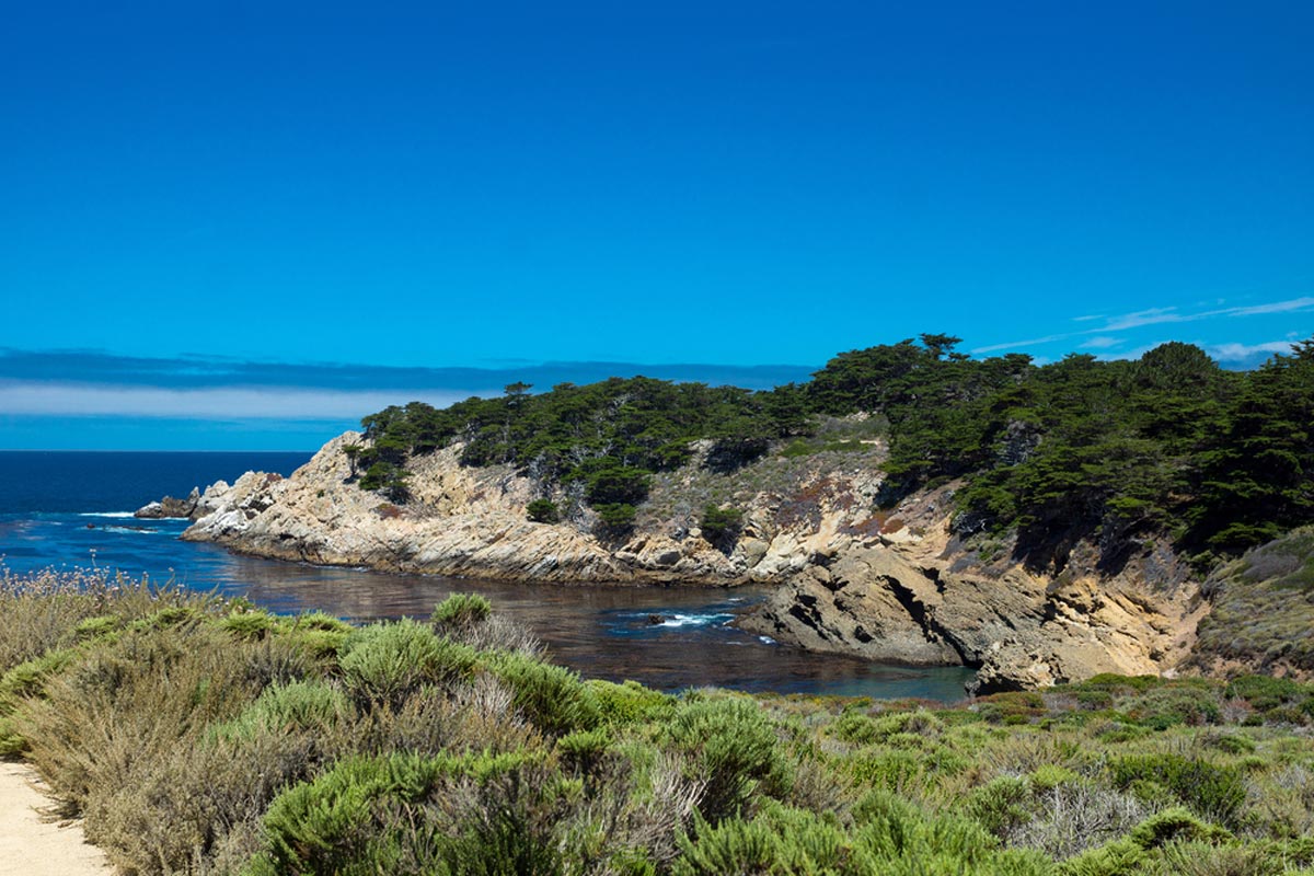 Sea Lion Point Trail 