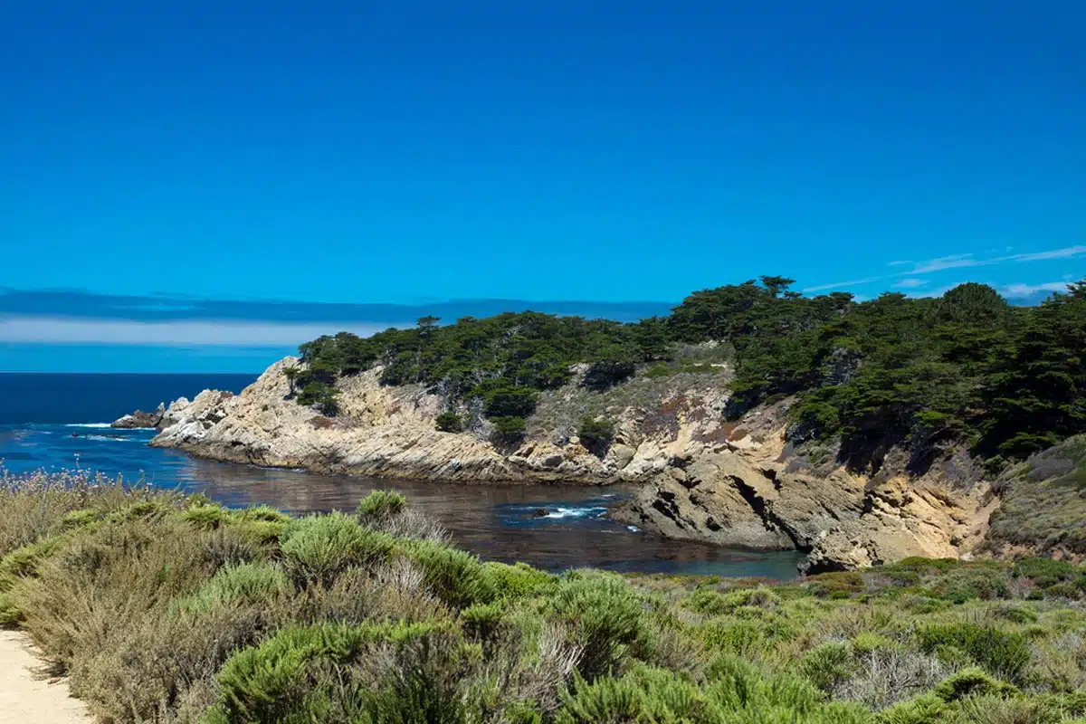 Sea Lion Point Trail 