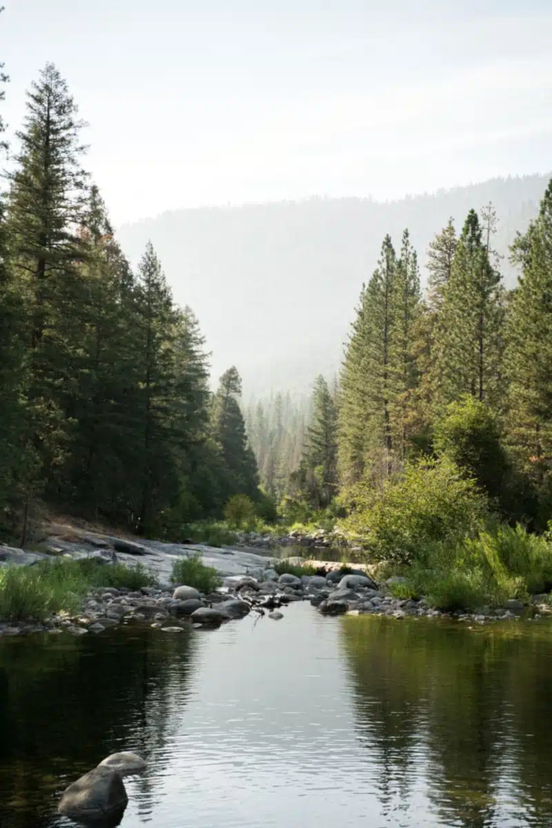 Wawona Yosemite