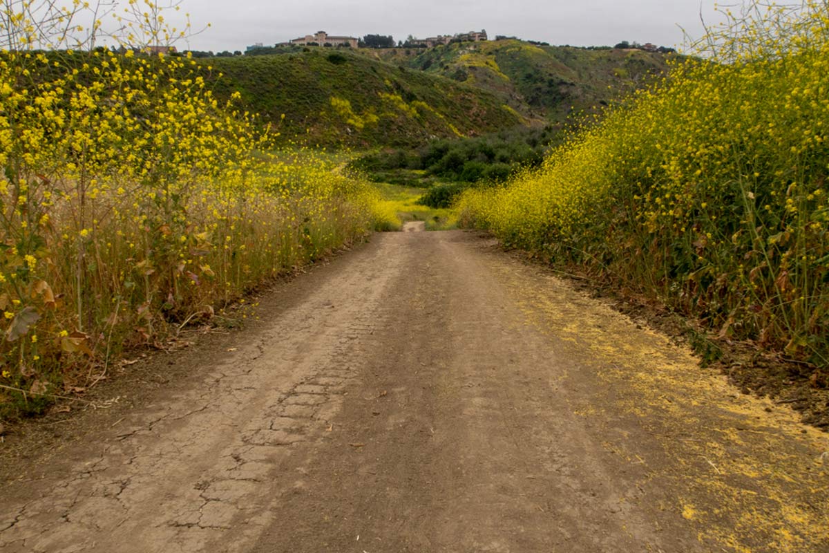 Wood Canyons Wilderness Park Trails 