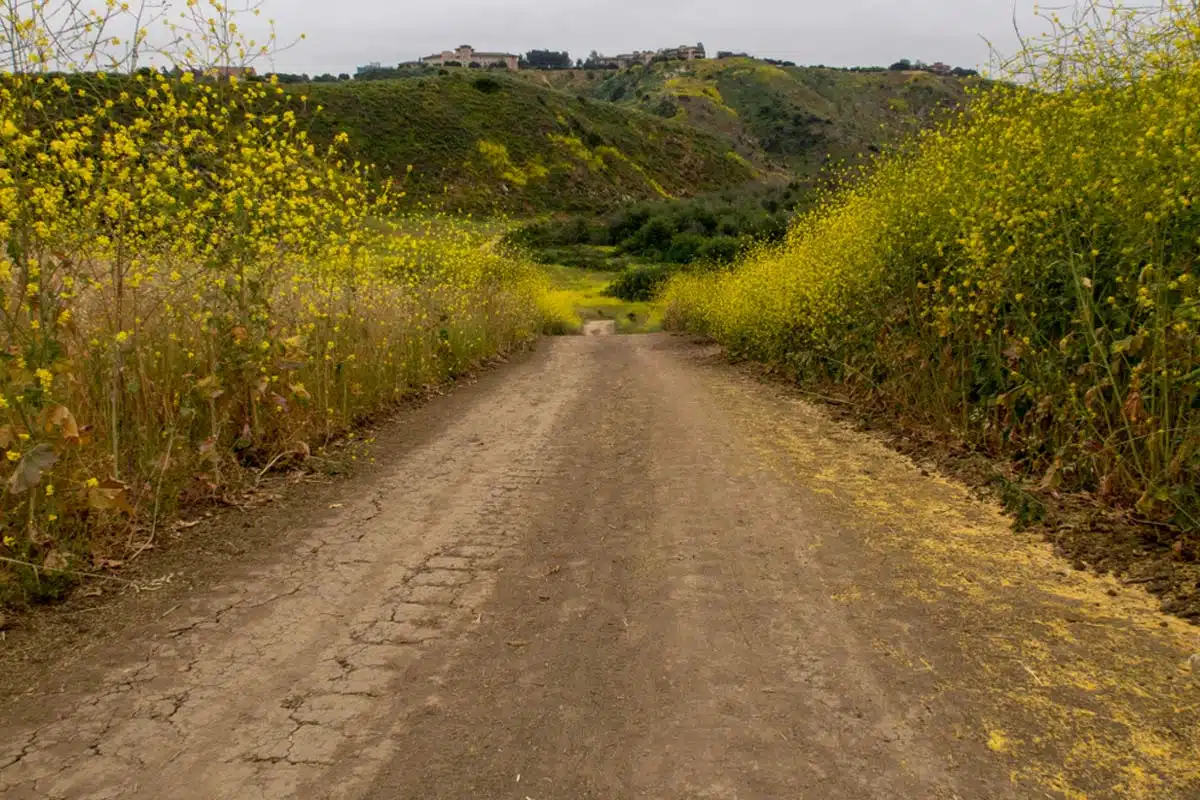 Wood Canyons Wilderness Park Trails 