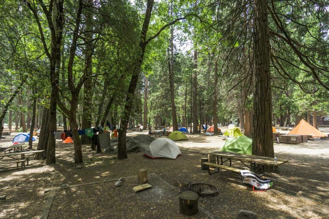 A Bumper Yosemite Camping Guide— The Discoveries Of