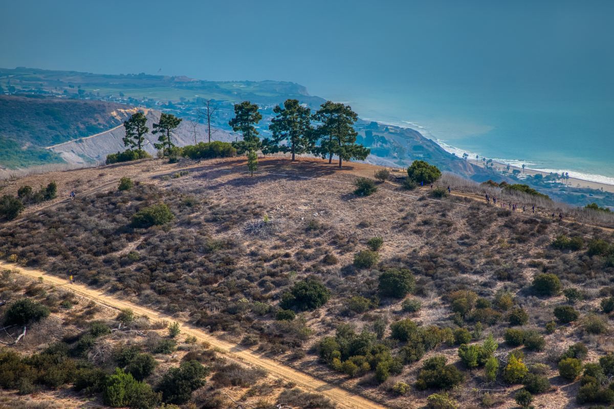 Eagles Nest California