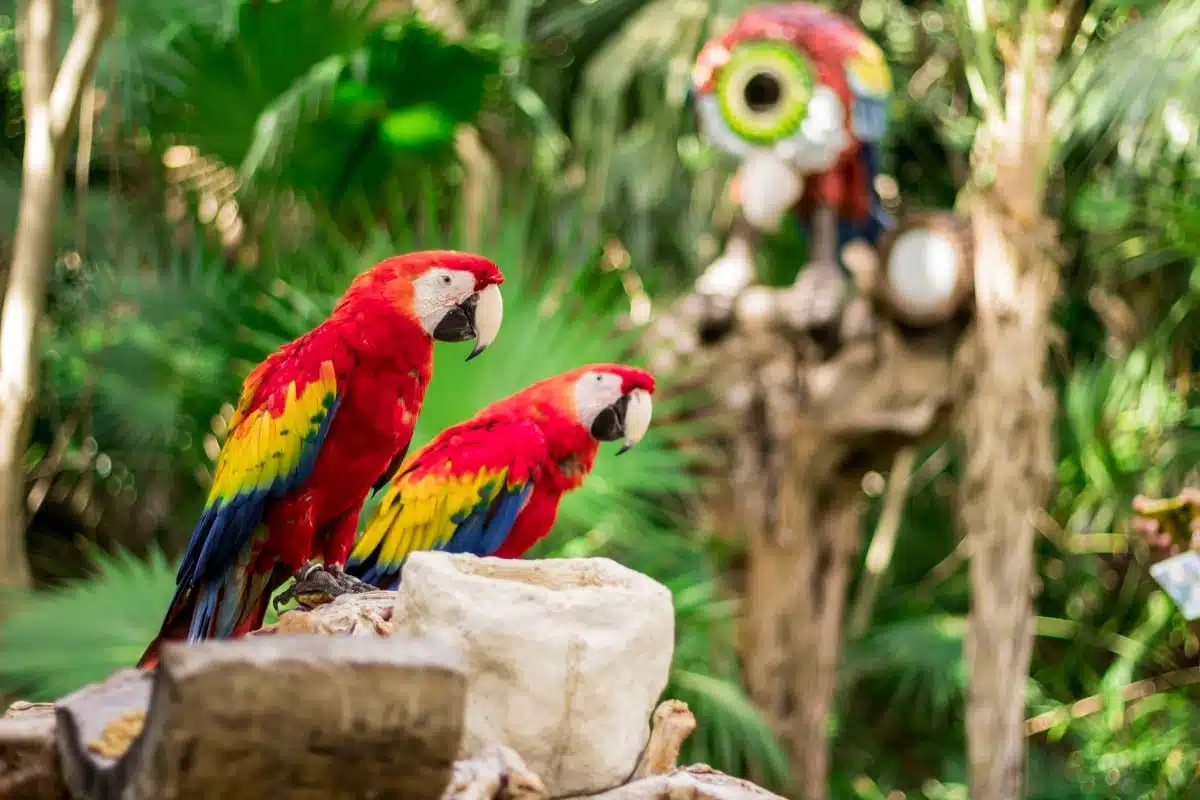 Xcaret Park