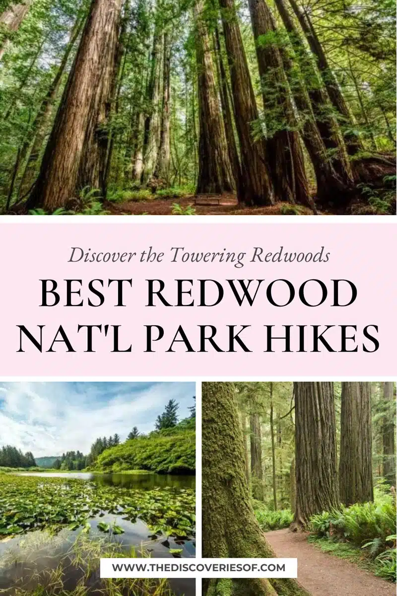 Best Redwood nat'l park Hikes