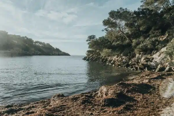Cala Mastella Beach Ibiza