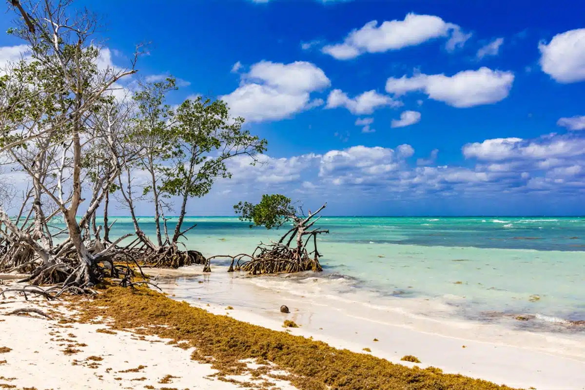 top tourist attraction in cuba