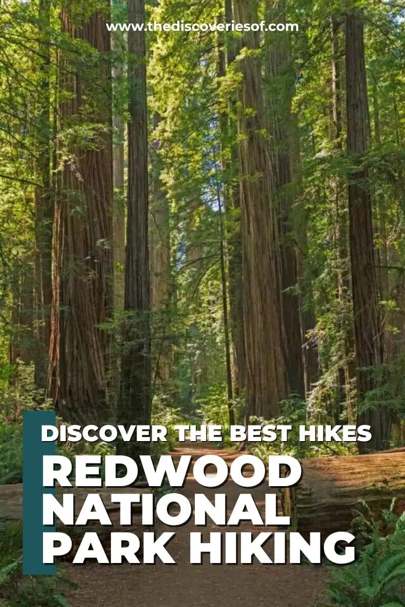 Best Redwood nat'l park Hikes