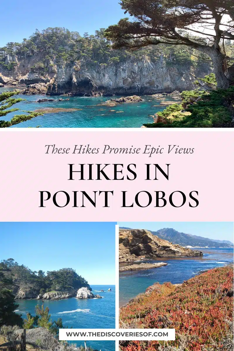 Hikes in Point Lobos