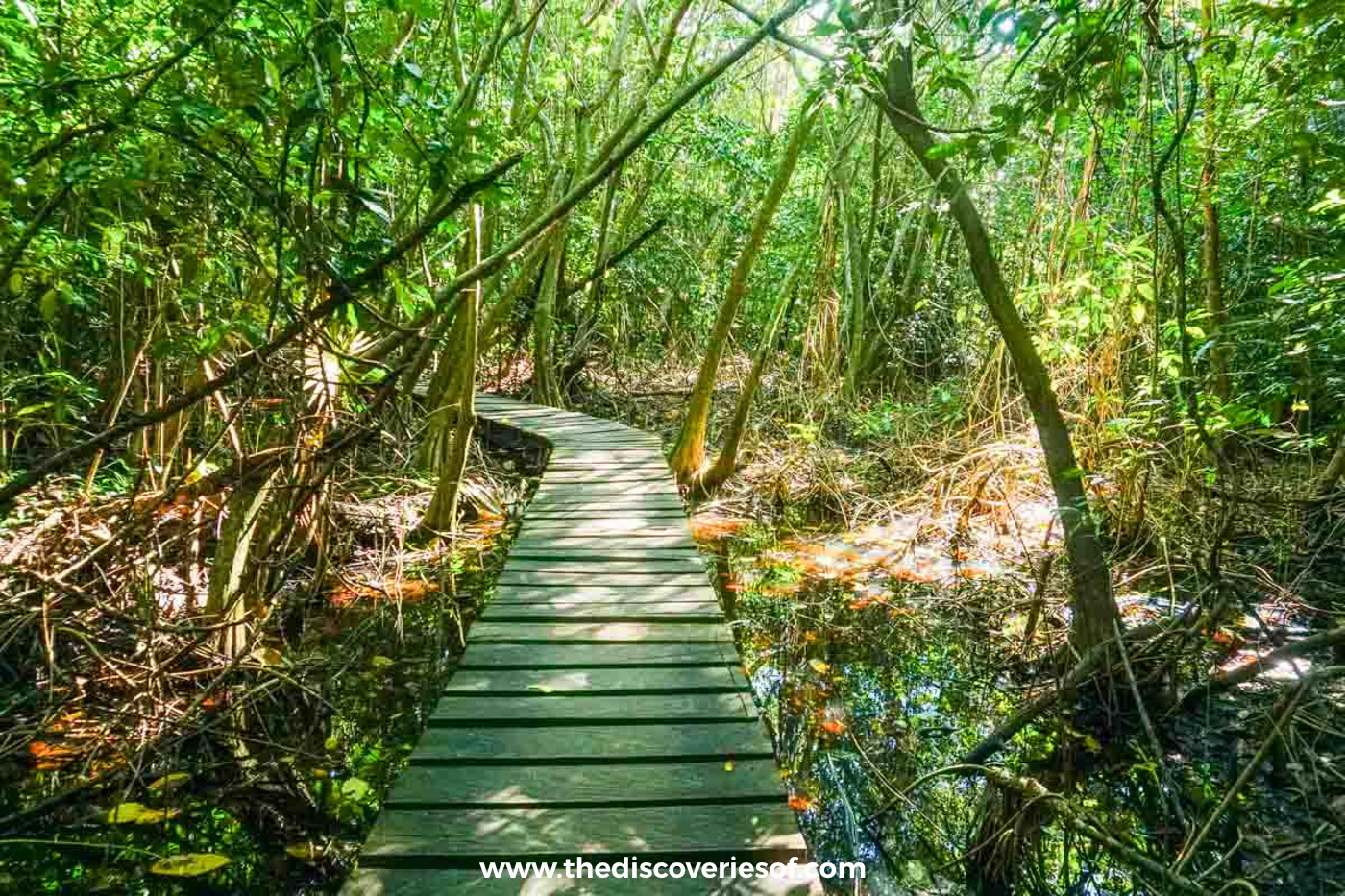 The pathway that leads you to the ruins