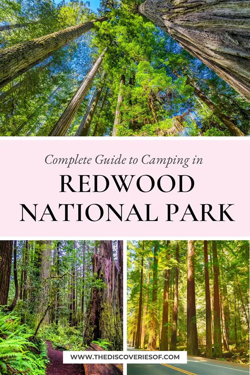 Redwood National Park