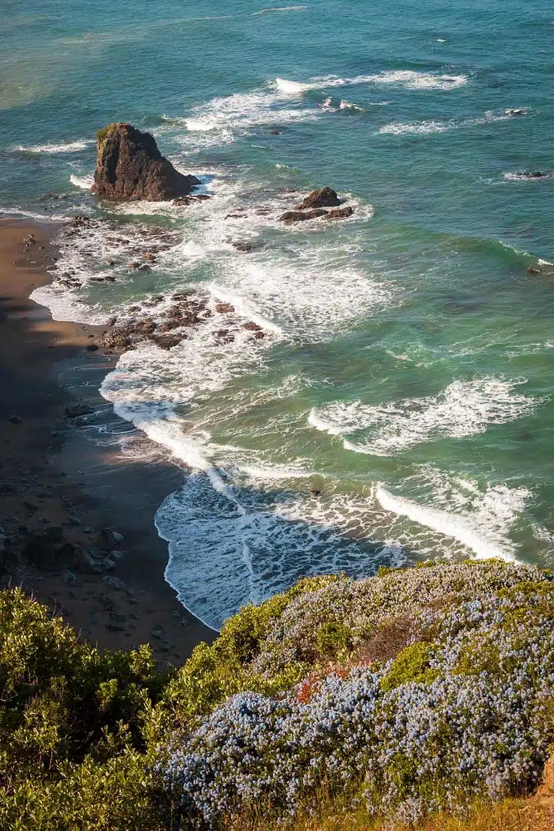 Redwood National Park