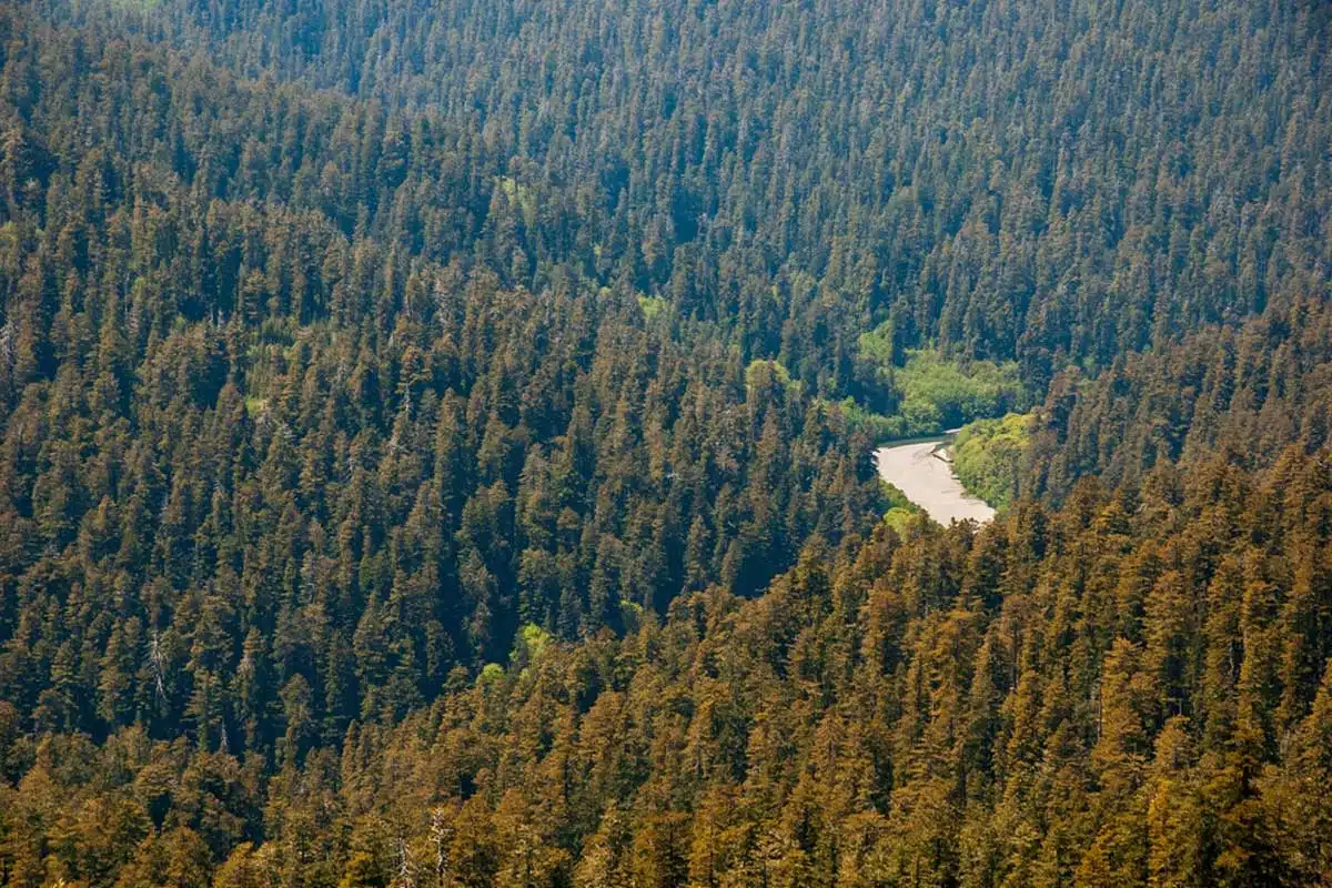 Redwood National Park