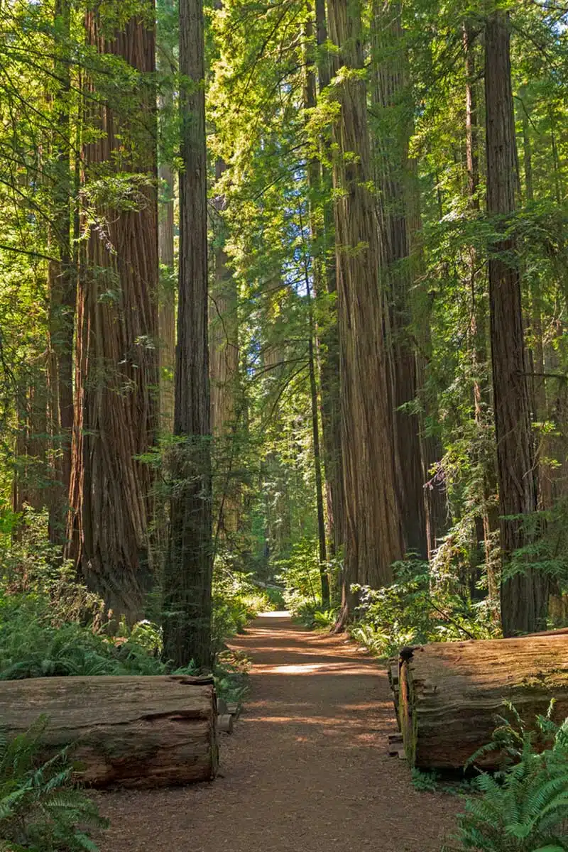 Stout Grove Trail 