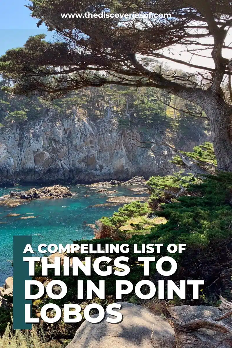 THE Things to do in Point Lobos