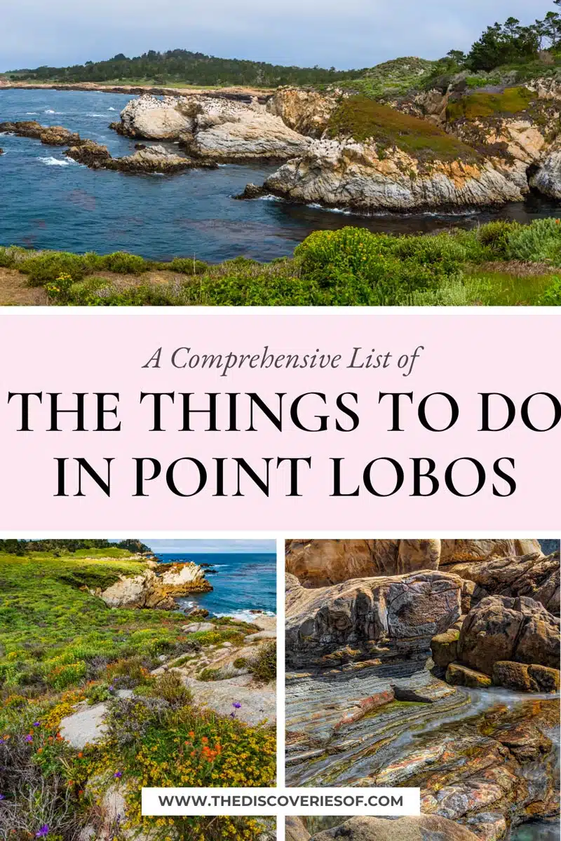 THE Things to do in Point Lobos