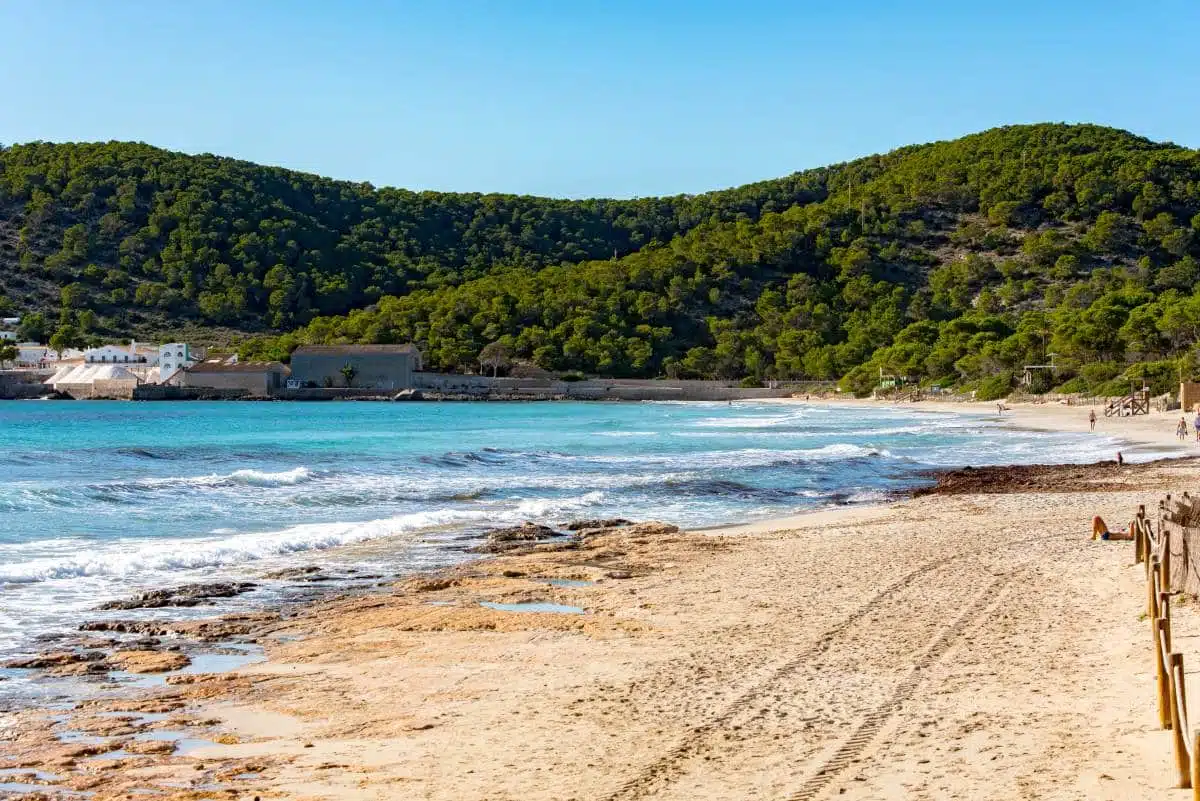 Ses Salines Natural Park