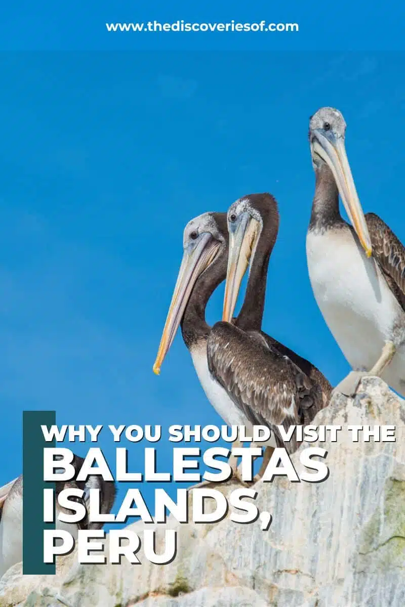 Ballestas Islands Peru