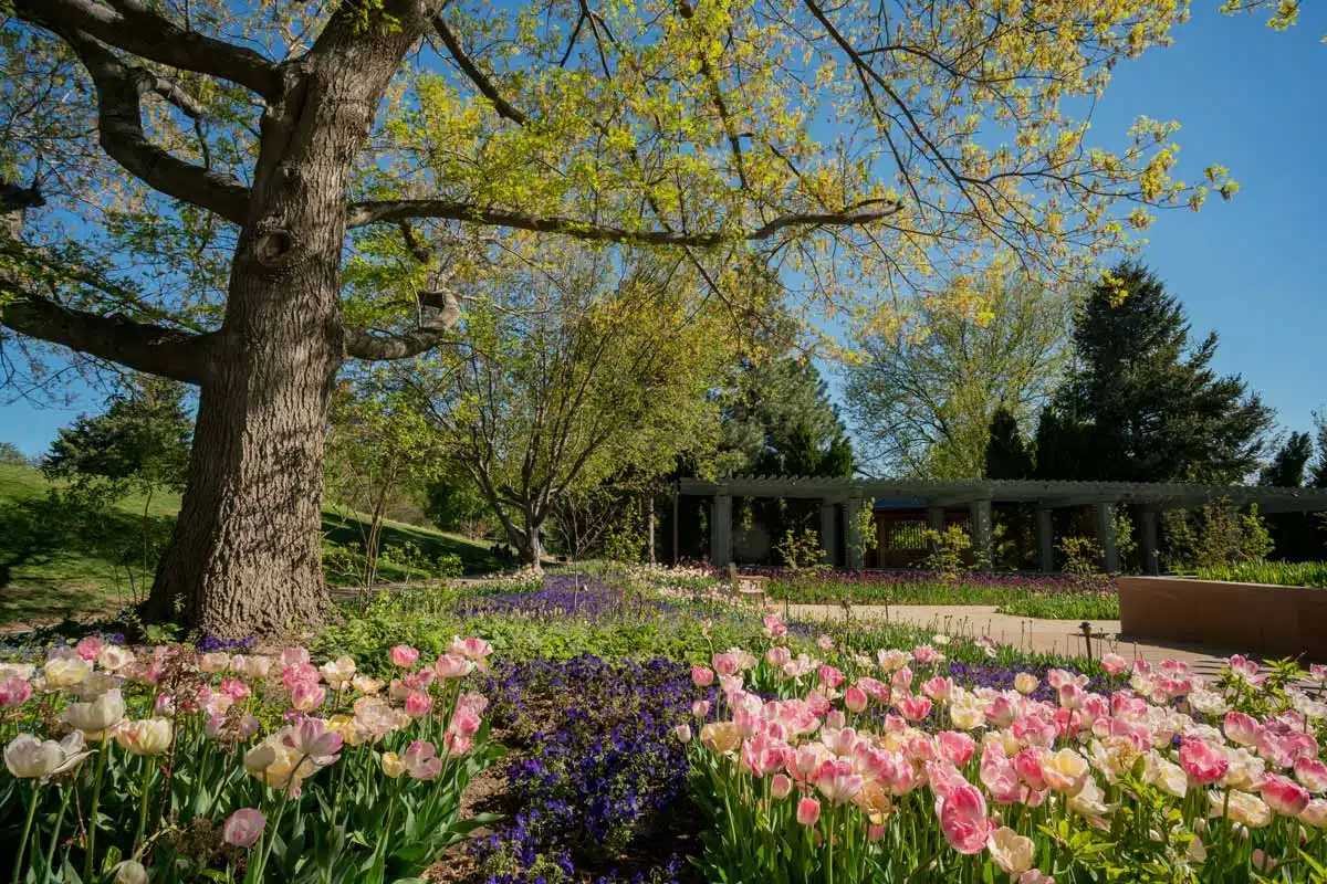 Denver Botanic Gardens, Colorado