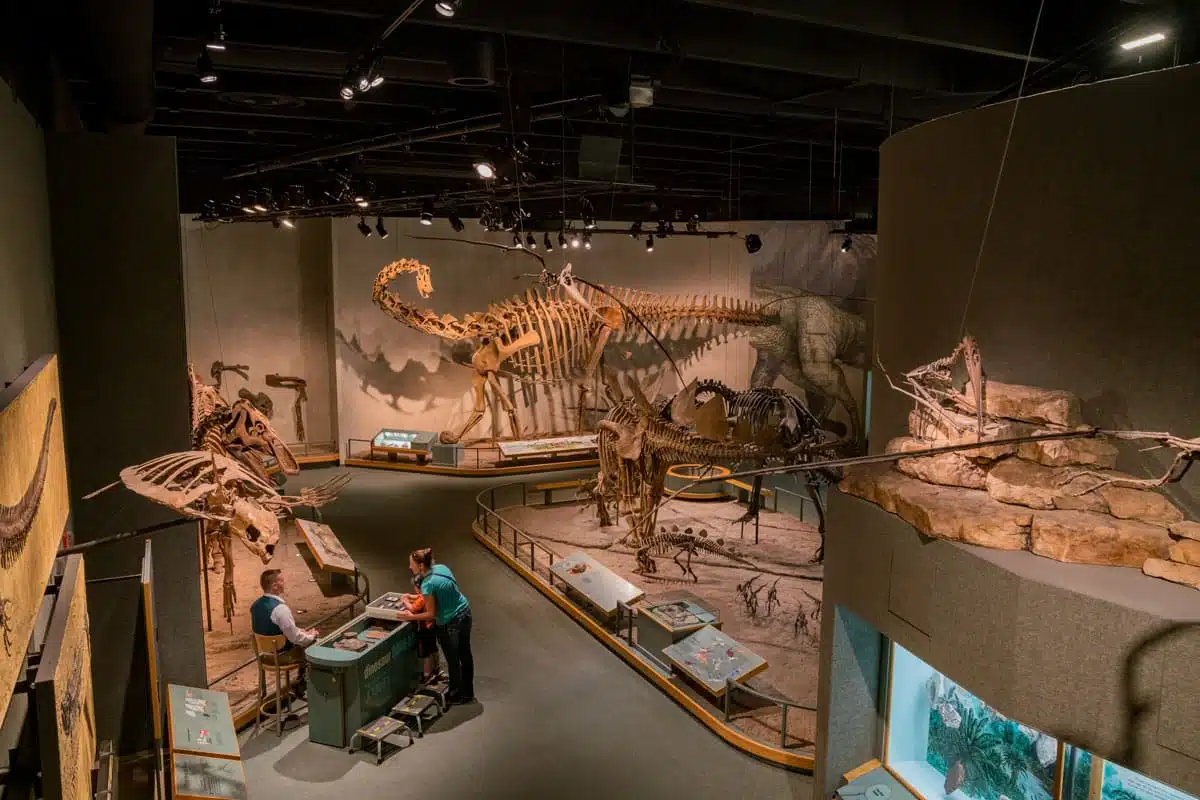 Denver Museum of Nature & Science