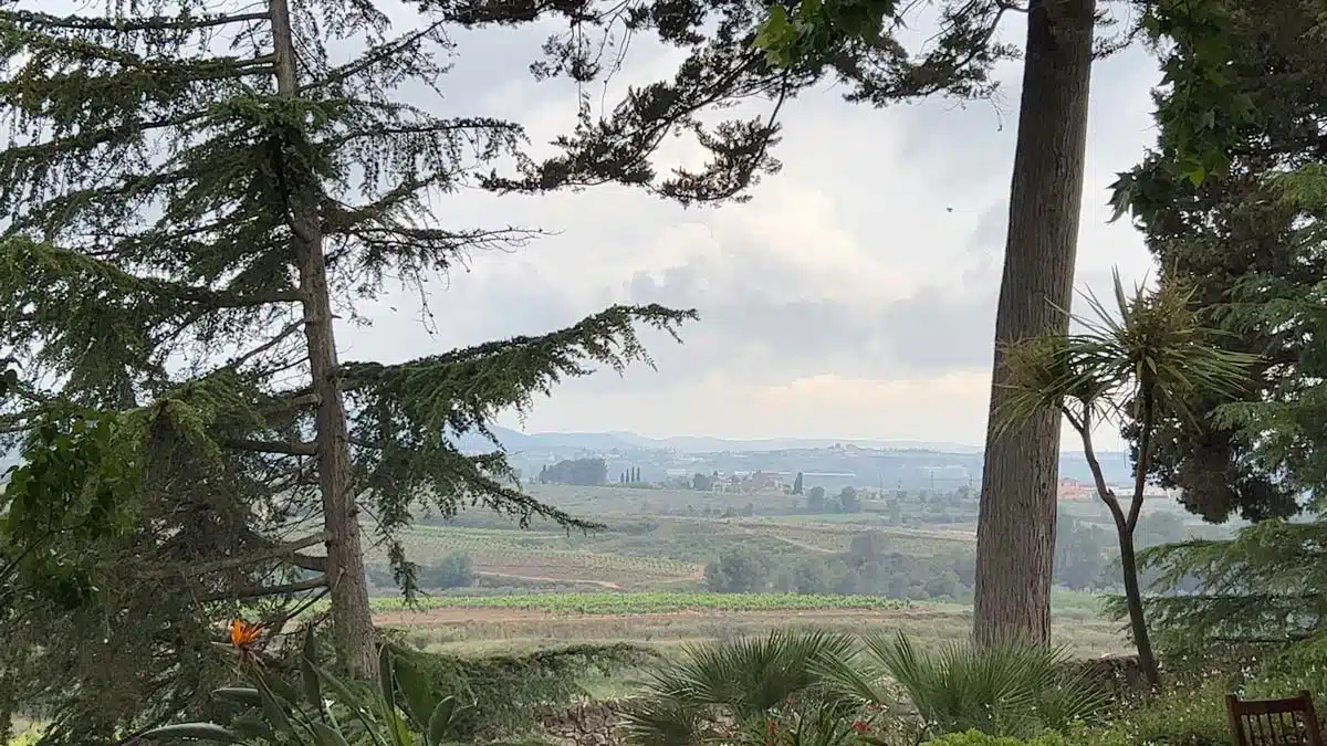 Penedès Spain