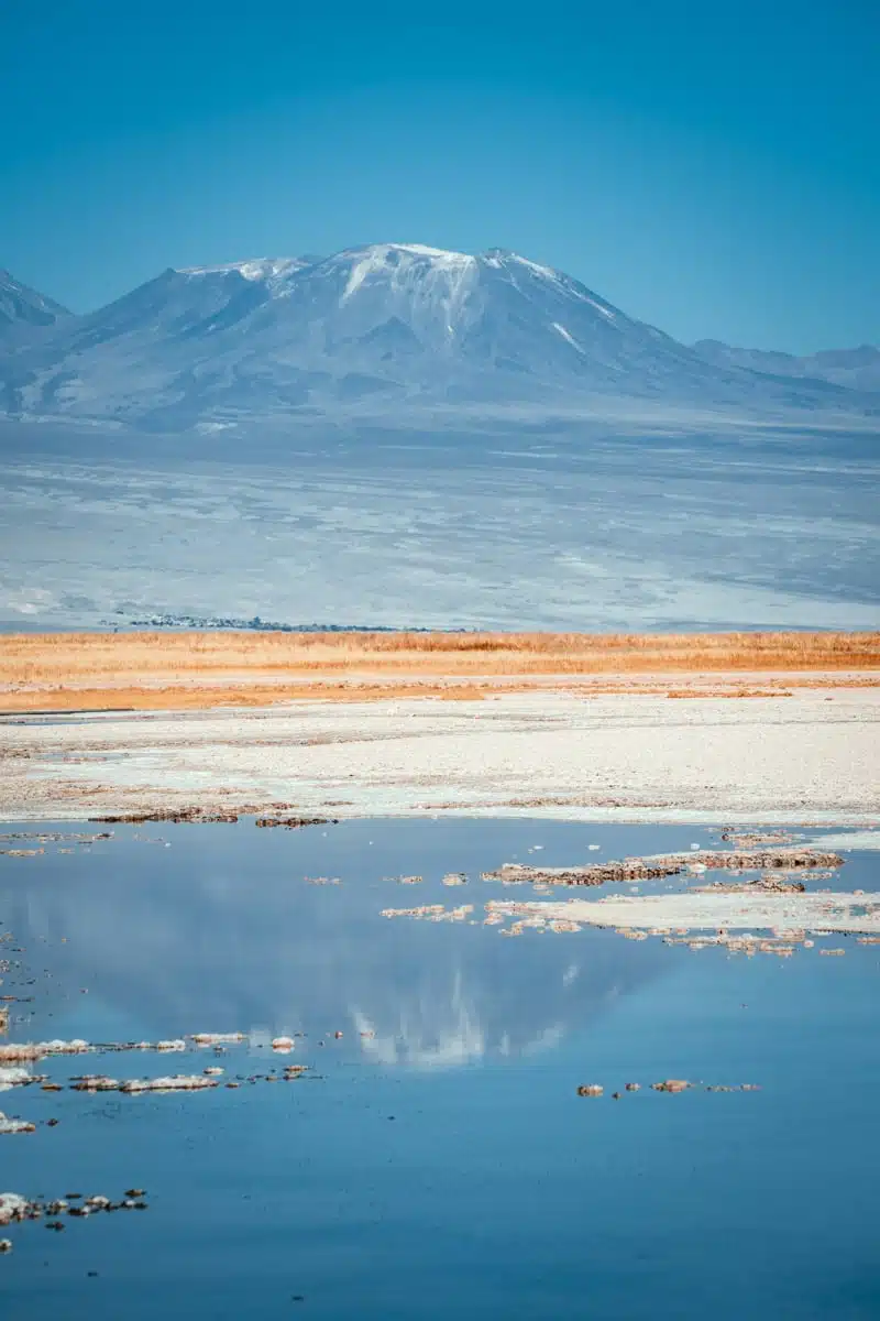 Atacama Basin, Atacama Desert, Chile-7