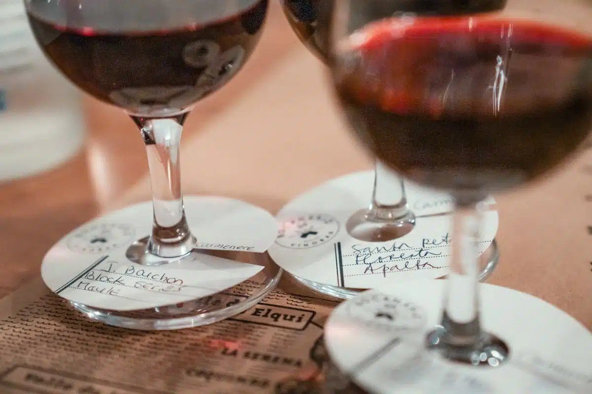 Glasses of red wine on handwritten coasters for a carmenere flight at Bocanáriz in Lastarria, Santiago