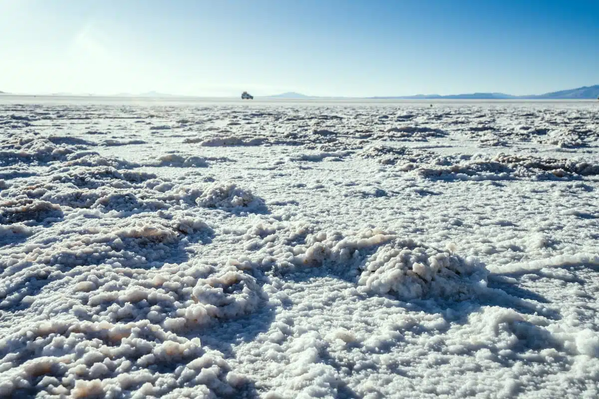 Salt flats up close