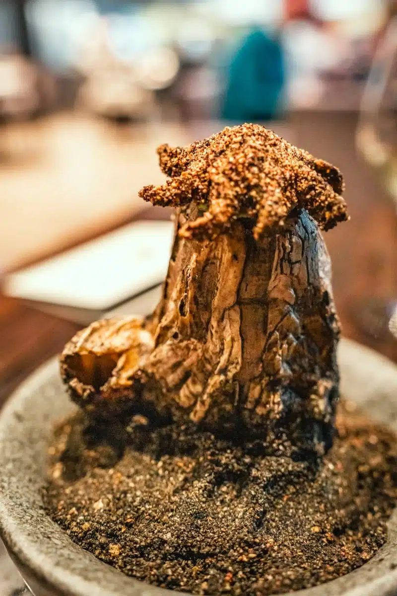 Dark, gnarled course shaped like a tree stump on a bed of crumbs in a stone bowl at Boragó