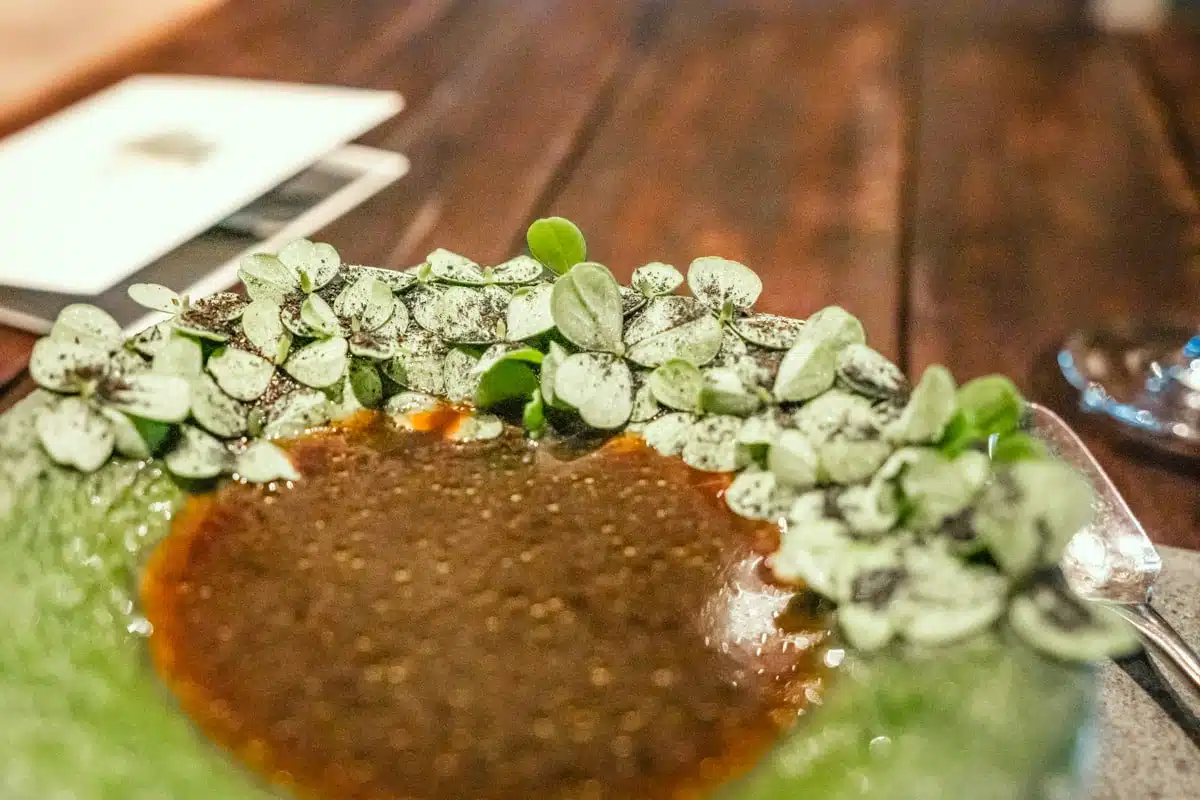Dark broth in a green dish edged with tiny round leaves dusted with black seeds at Boragó