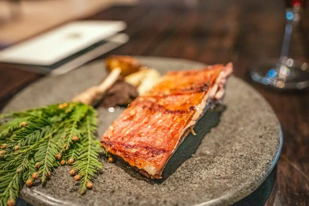 Crisp-skinned Patagonian lamb with sprigs of conifer and mushrooms on a stone plate at Boragó