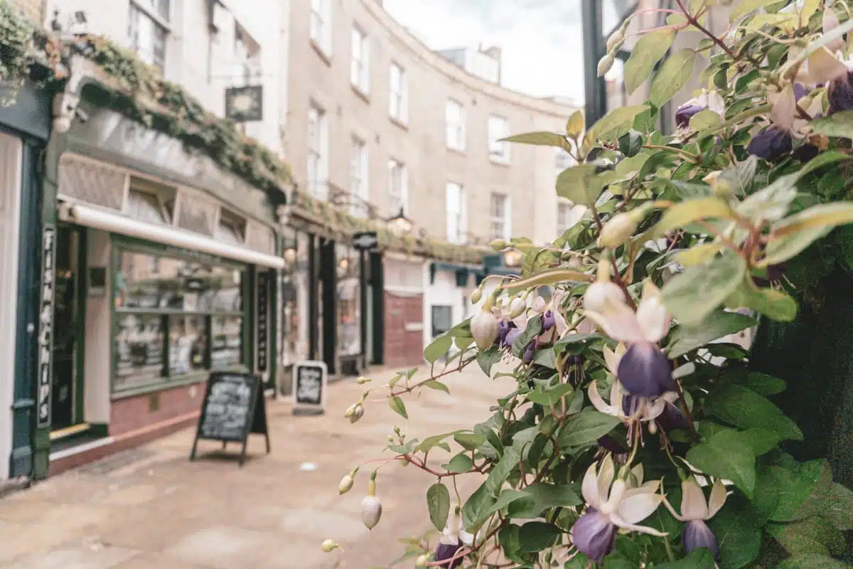 Rose Crescent Cambridge City Centre