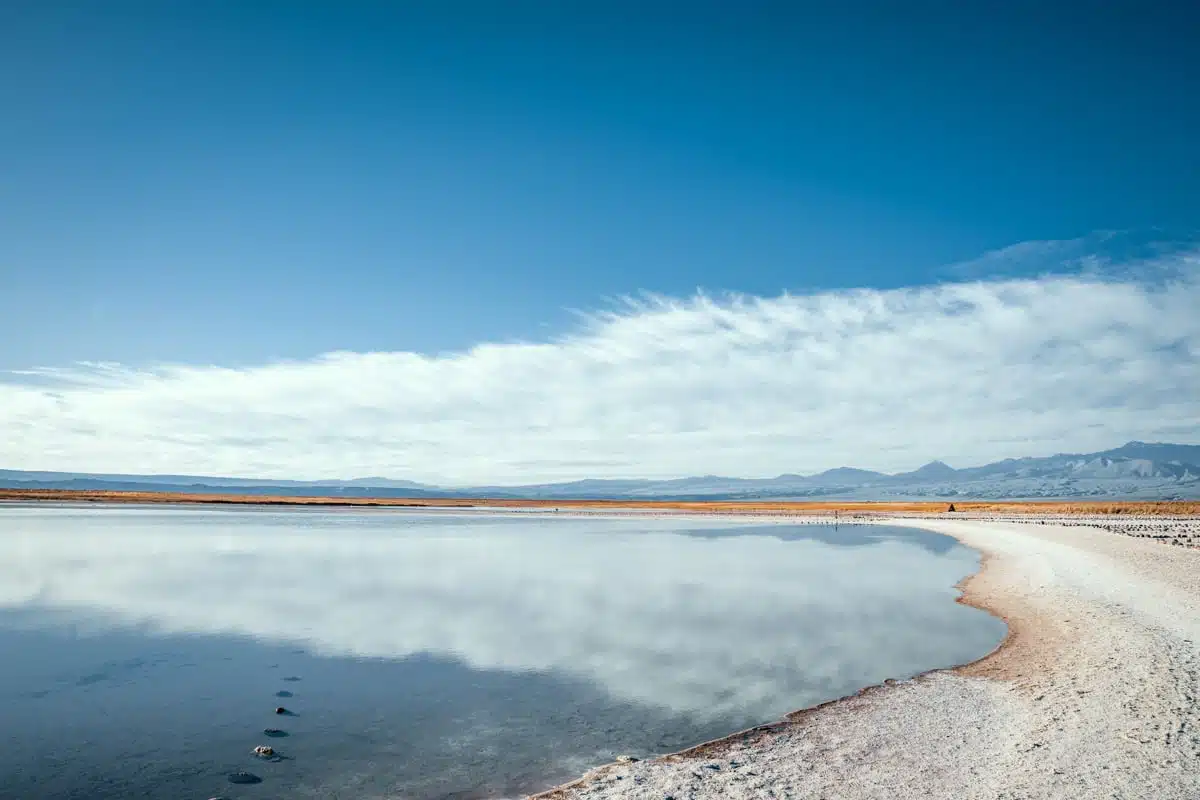 Curving white salt shoreline with footprints beside a calm blue lagoon at Laguna Cejar, under a band of cloud