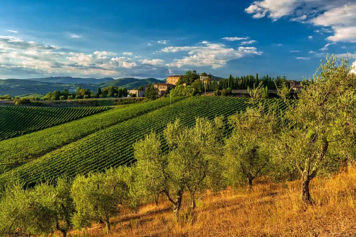  Chianti, Italy