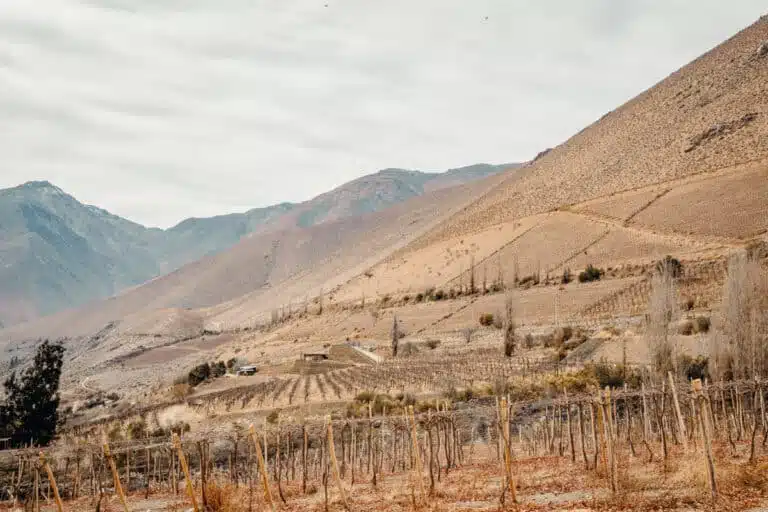 Elqui Valley Travel Guide: Explore the Lush Valley at the Southern Tip of the Atacama Desert