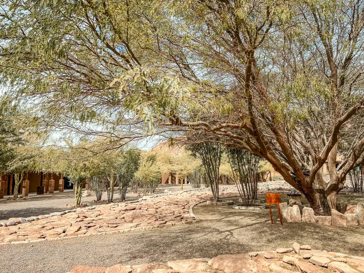 Nayara Alto Atacama