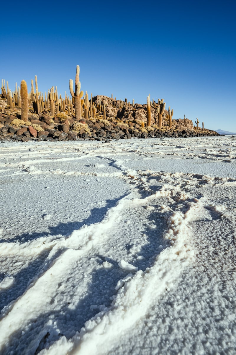 Isla Incahuasi, Salar de Uyuni Salt Flats, Bolivia-6