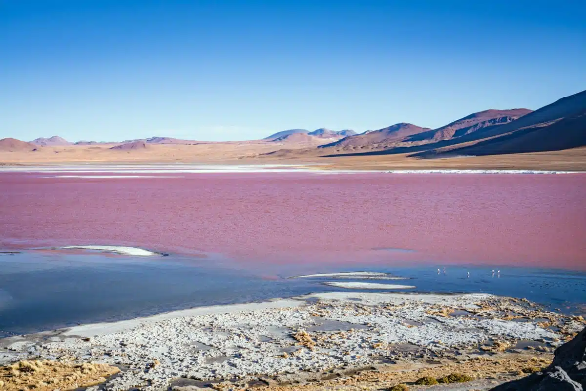 Laguna Colorada, Bolivia-